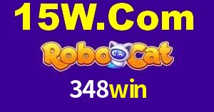 Crash Games Strategies 348win